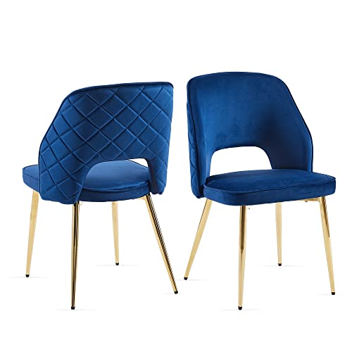 Modern Dining Chair Set of 2, Navy Blue Velvet Accent Chairs with Golden Metal Legs
